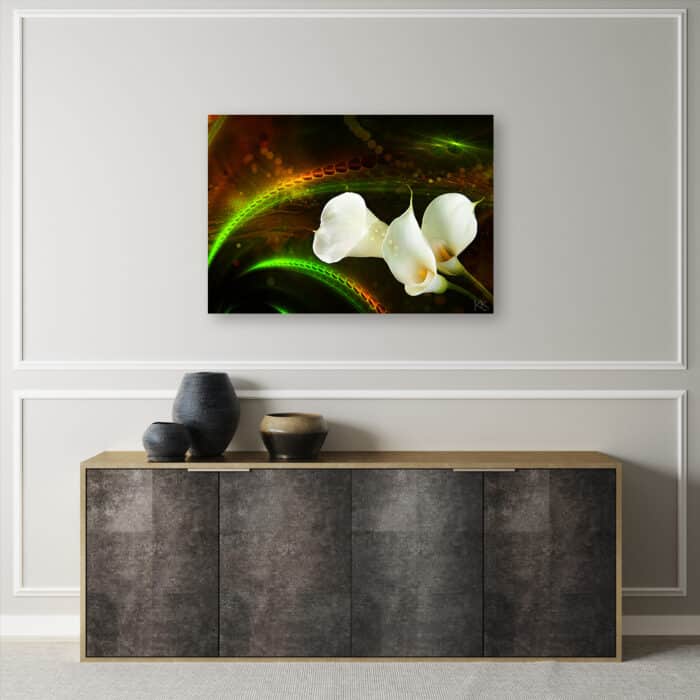 Obraz na płótnie, White flower on brown background img_2
