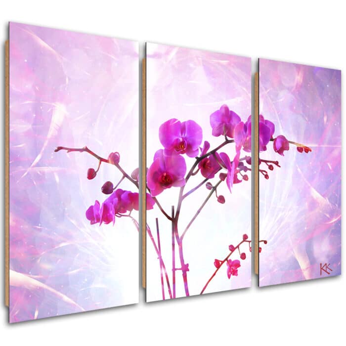 Obraz trzyczęściowy Deco Panel, Eteryczna orchidea img_1