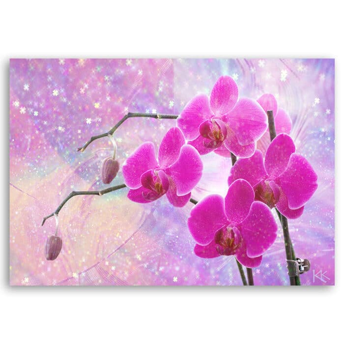 Obraz na płótnie, Eteryczna orchidea abstrakcja img_3