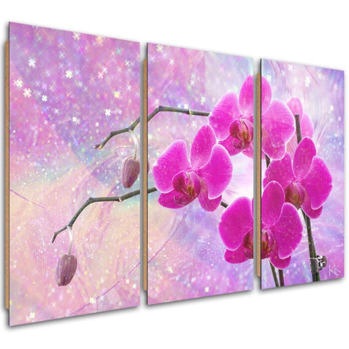 Obraz trzyczęściowy Deco Panel, Eteryczna orchidea abstrakcja img_1