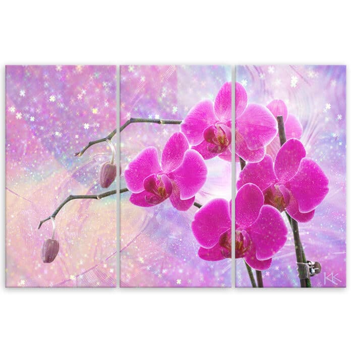 Obraz trzyczęściowy na płótnie, Eteryczna orchidea abstrakcja img_3
