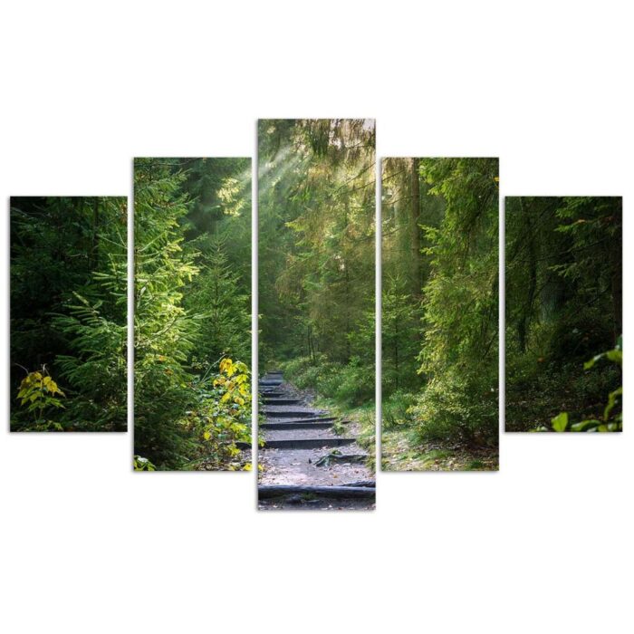Obraz pięcioczęściowy na płótnie, Ścieżka w zielonym lesie img_3