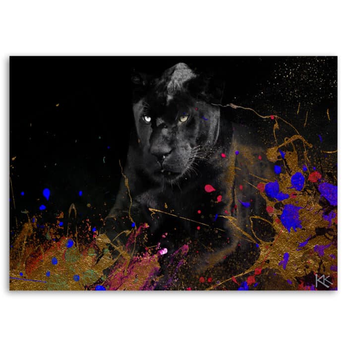 Obraz Deco Panel, Czarna pantera na kolorowym tle img_3