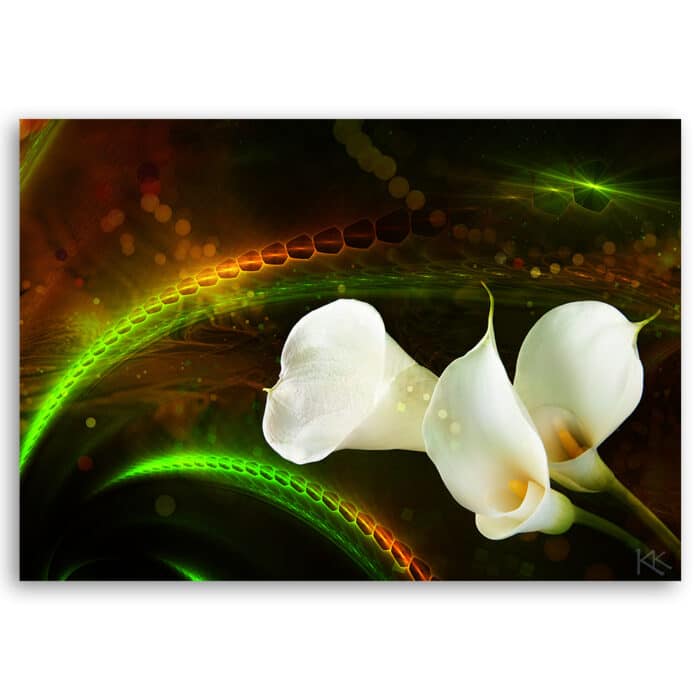 Obraz na płótnie, White flower on brown background img_3