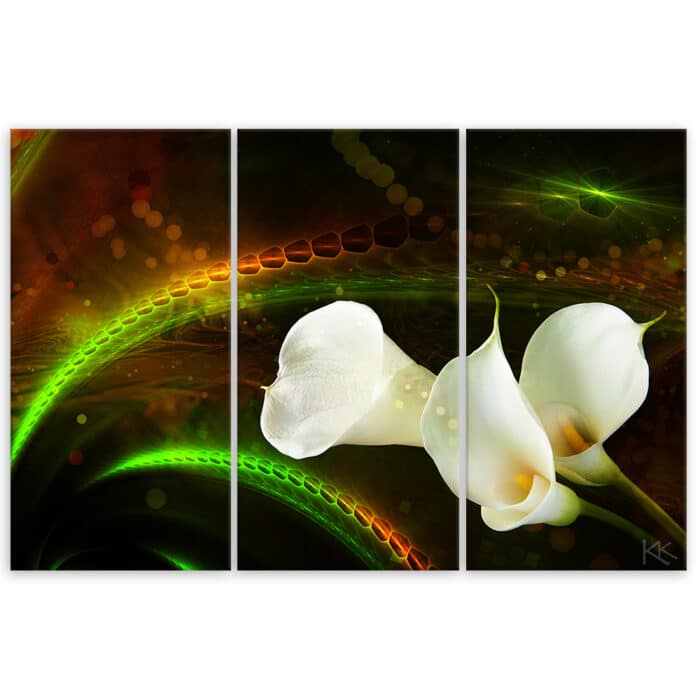 Obraz tryptyk na płótnie, White flower on brown background img_3