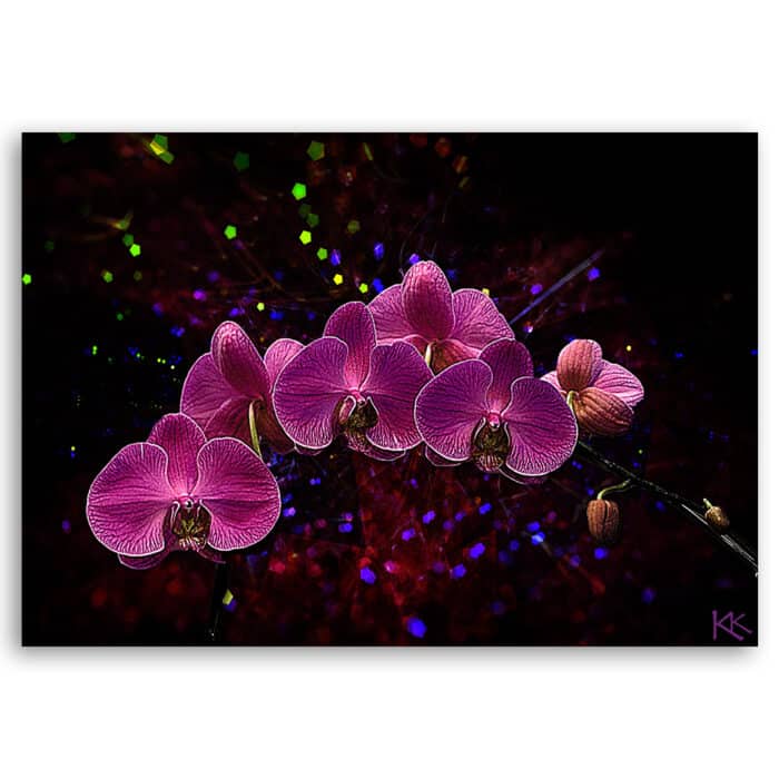 Obraz na płótnie, Orchidea na ciemnym tle img_3