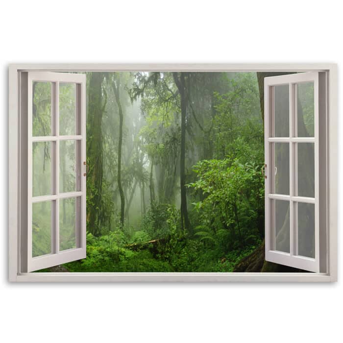 Obraz na płótnie, Okno tropikalny las dżungla img_3