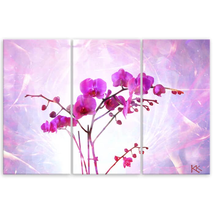Obraz trzyczęściowy Deco Panel, Eteryczna orchidea img_3