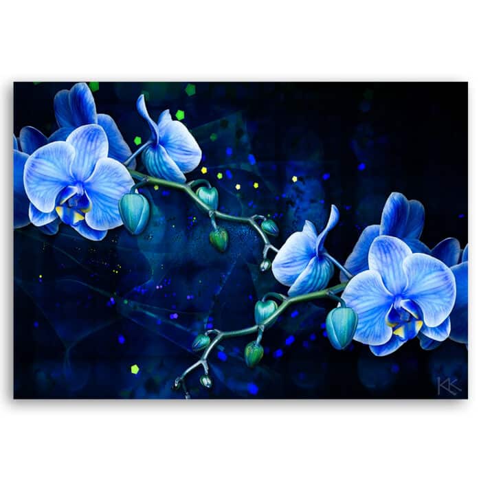 Obraz Deco Panel, Niebieski kwiat orchidei img_3