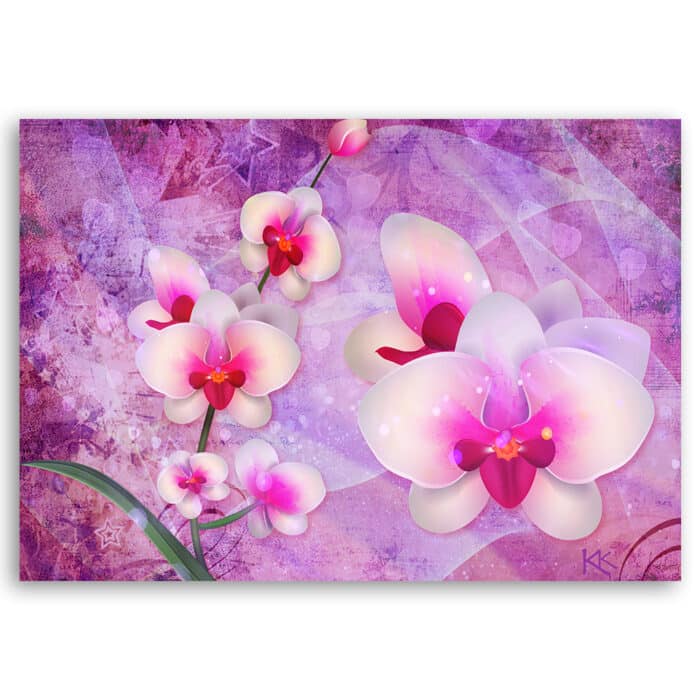 Obraz na płótnie, Orchidea Kwiaty Abstrakcja img_3