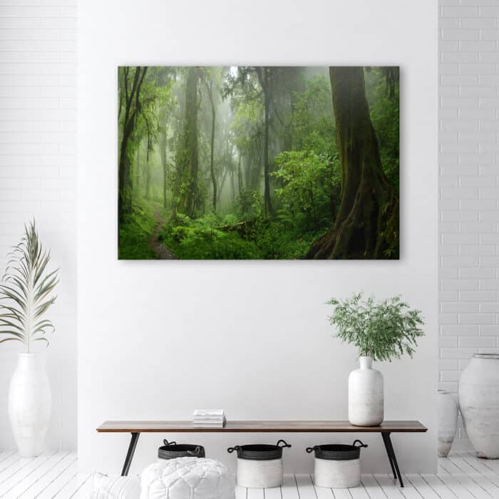 Obraz Deco Panel, Tropikalny las dżungla img_2