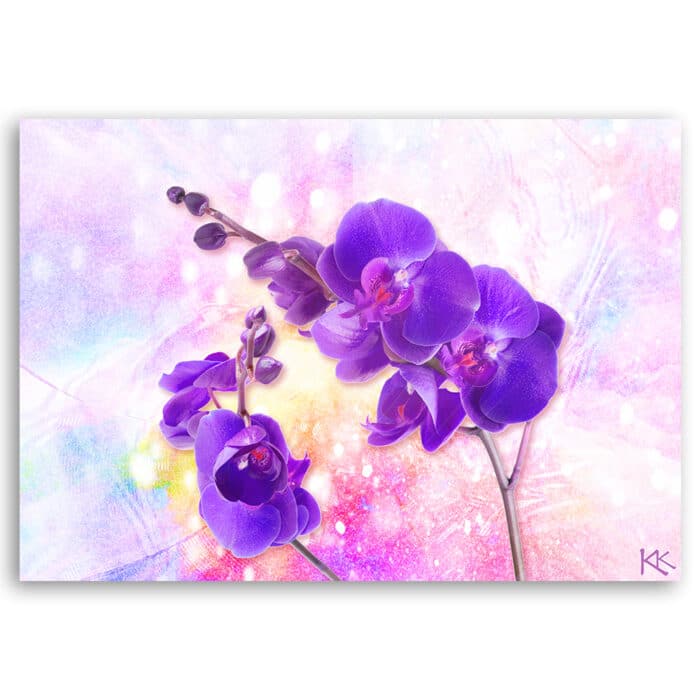 Obraz na płótnie, Fioletowy kwiat orchidei img_3