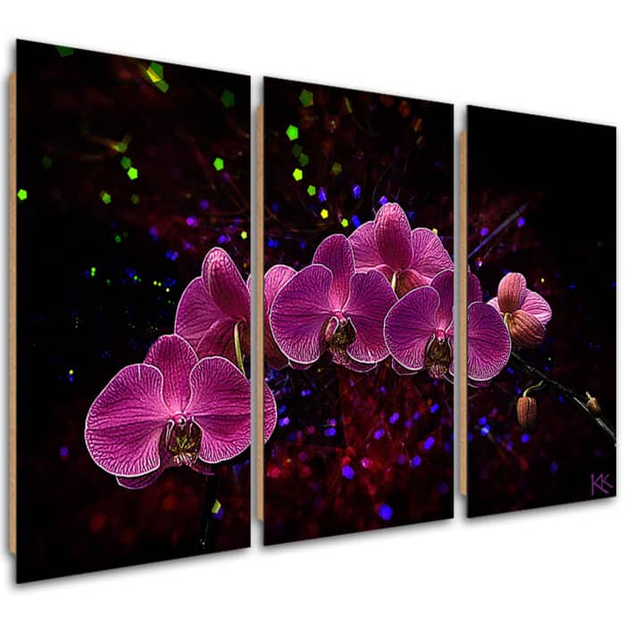 Obraz trzyczęściowy Deco Panel, Orchidea na ciemnym tle img_1
