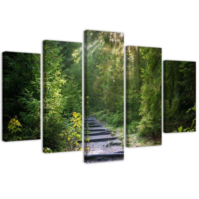 Obraz pięcioczęściowy na płótnie, Ścieżka w zielonym lesie img_1