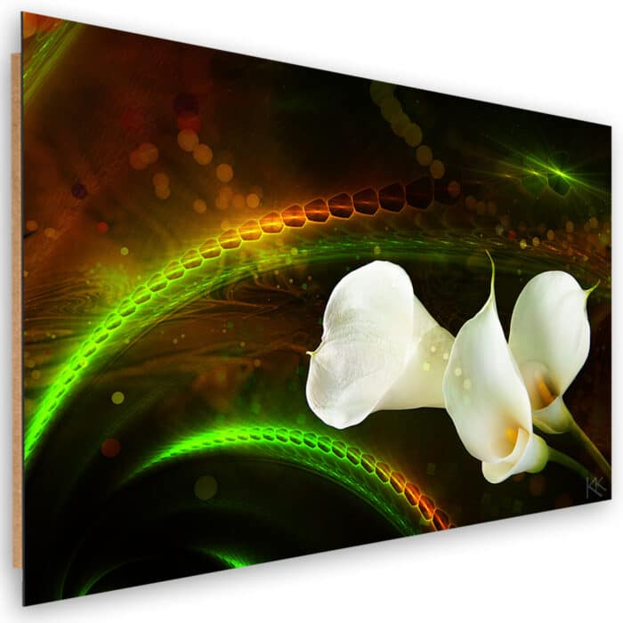 Obraz Deco Panel, White flower on brown background img_1