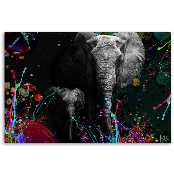 Obraz na płótnie, Słoń na kolorowym tle img_3