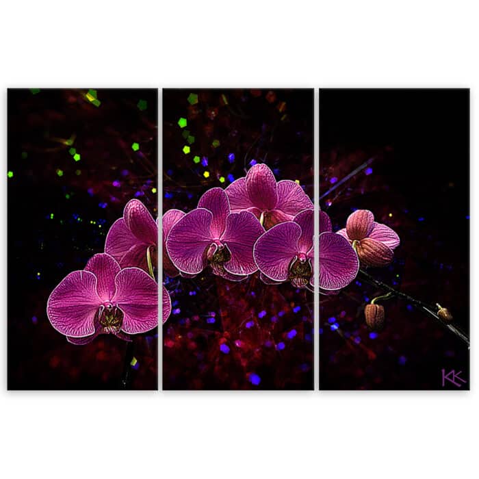 Obraz trzyczęściowy na płótnie, Orchidea na ciemnym tle img_3