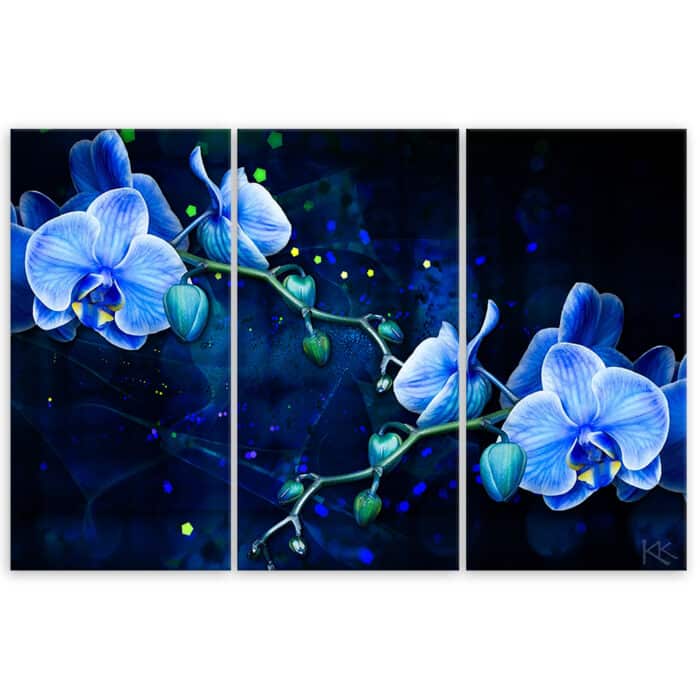 Obraz tryptyk na płótnie, Niebieski kwiat orchidei img_3