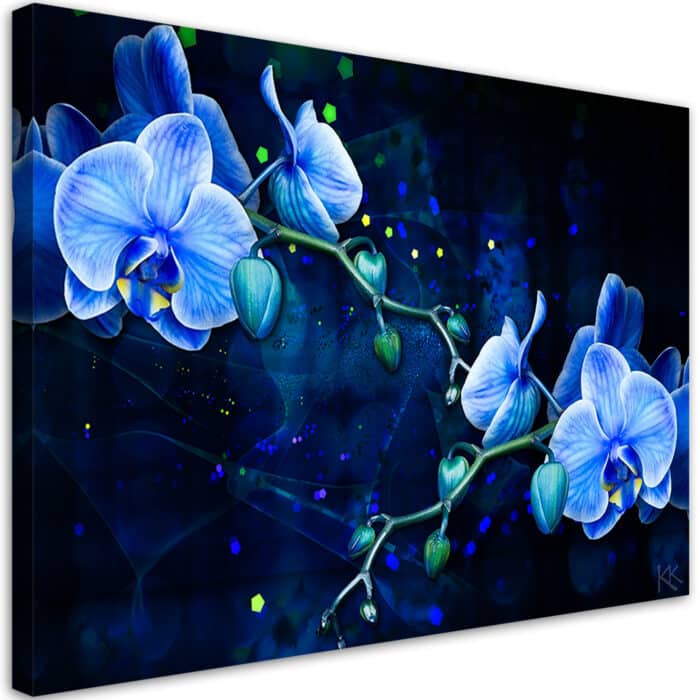 Obraz na płótnie, Niebieski kwiat orchidei img_1