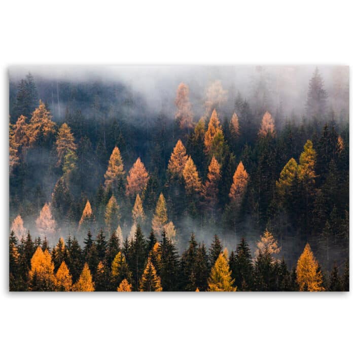 Obraz na płótnie, Jesienny krajobraz drzew img_3