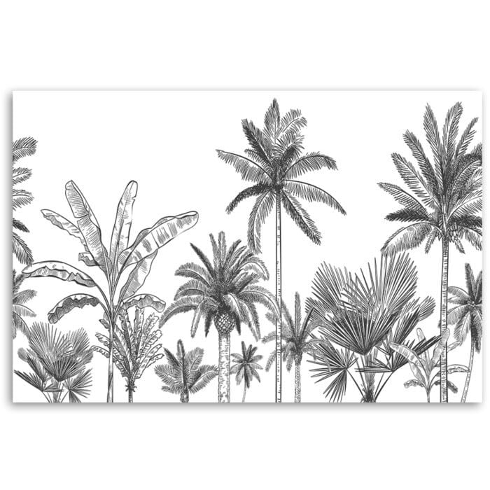 Obraz Deco Panel, Czarno białe palmy img_3