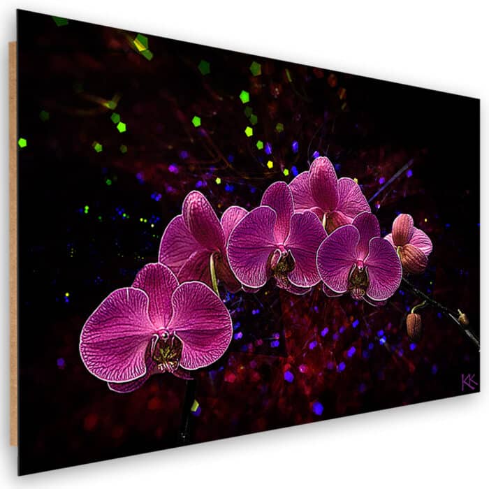 Obraz Deco Panel, Orchidea na ciemnym tle img_1