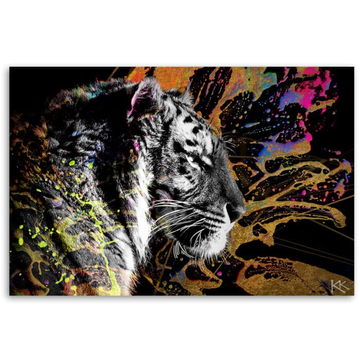 Obraz na płótnie, Tygrys na kolorowym tle img_3